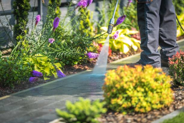 Best Fence Cleaning  in Lima, OH